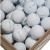 LAKEBALLS - Titleist Pro V1 / Pro V1x kat. A/B, używane piłki golfowe BIAŁE 10szt