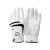 Rękawiczka męska Wilson Grip Plus 2025 - biała
