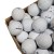 Używane piłki golfowe Srixon MIX lakeballs - kategoria C, białe, 10szt