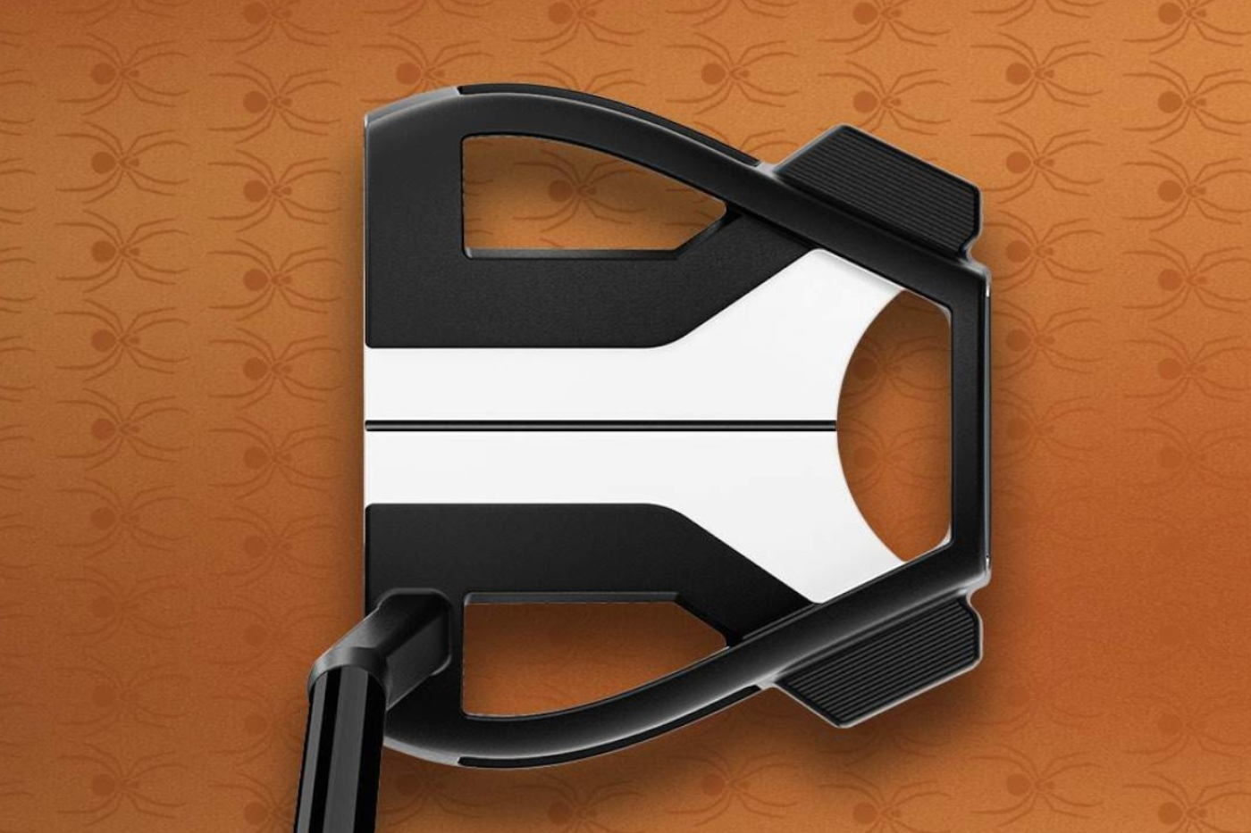 Putter Taylormade Spider Tour X - mallet slant neck